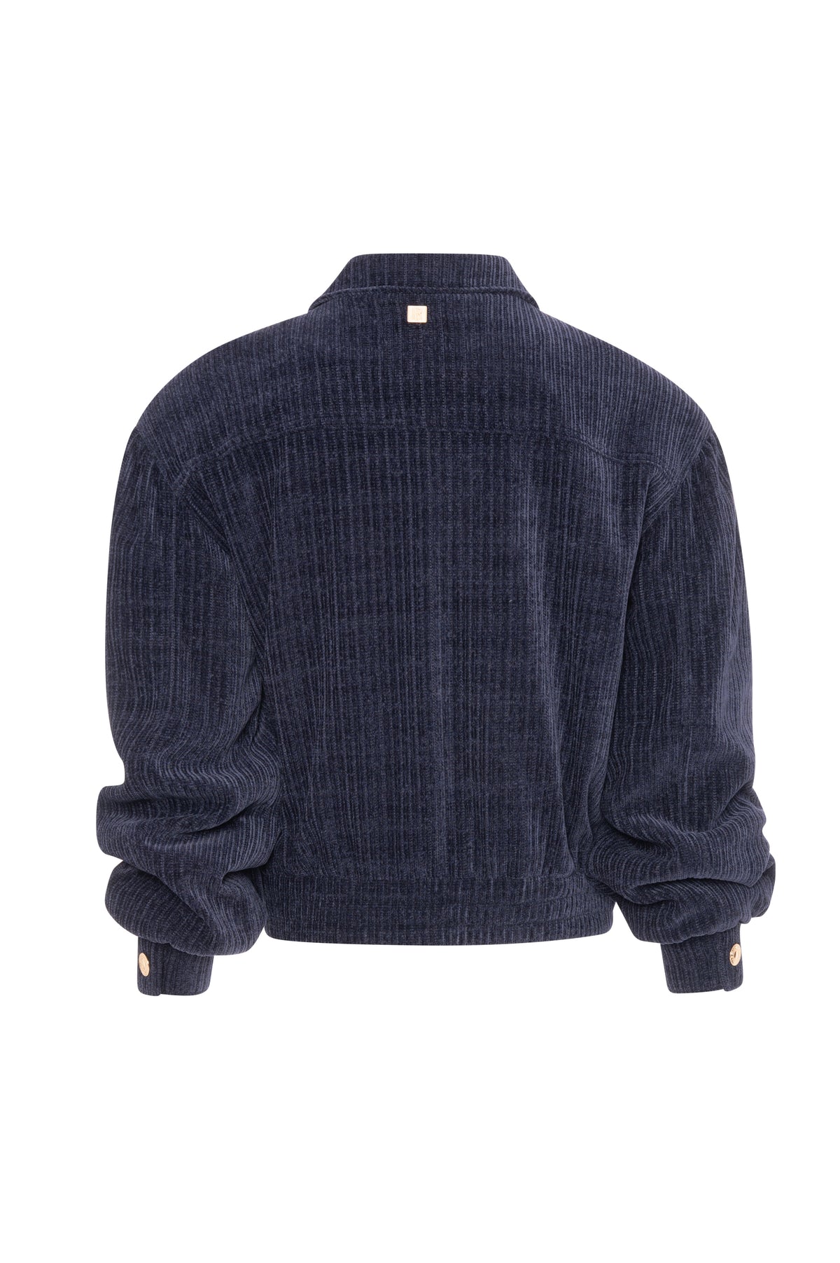 Giacca regular modello bomber in velluto FR26WJ1012W59601 FRACOMINA