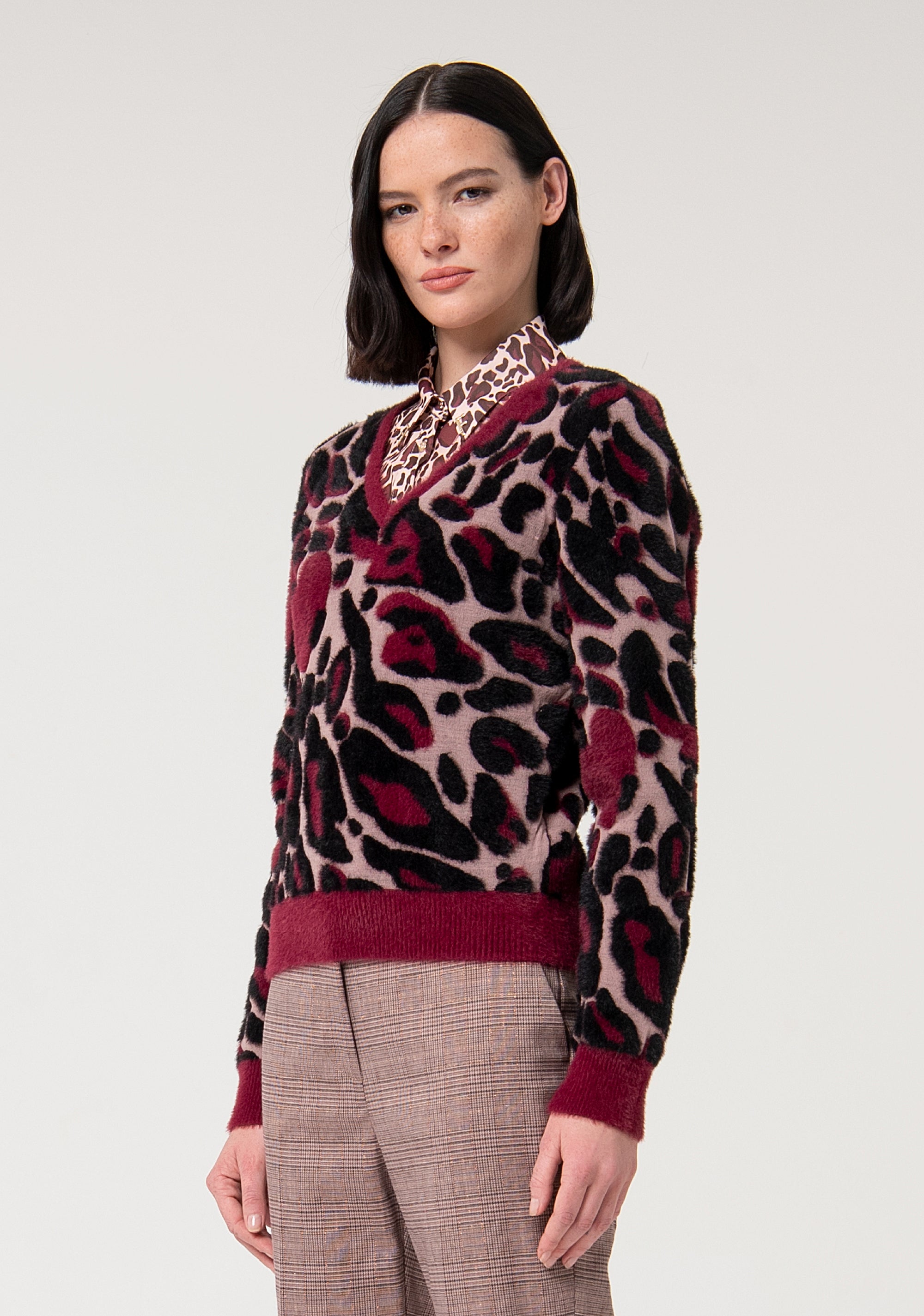 Maglia regular in jacquard animalier FS24WT7014K537F8-S91 Fracomina