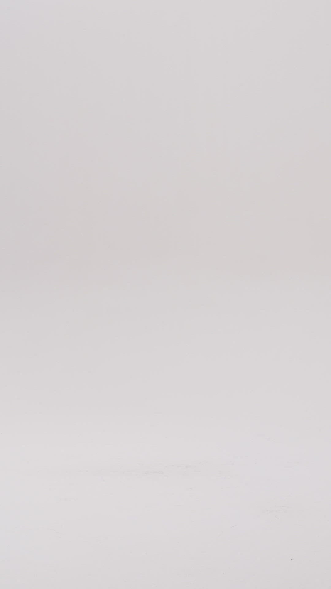 Maglia regular con ricamo logo FP22WT7026K45901-226 Fracomina