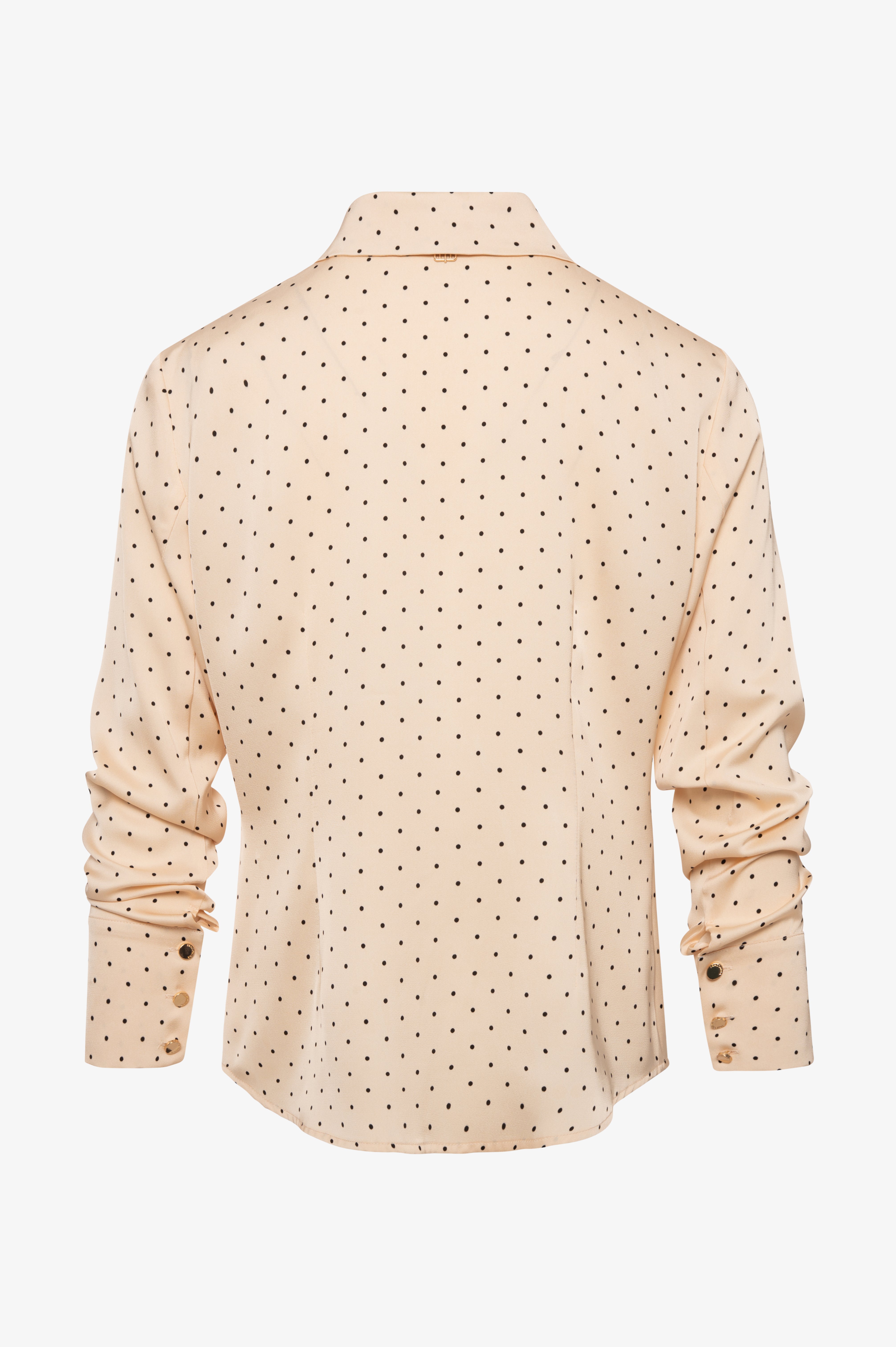 Camicia regular a pois FR26WT6026W411D2-KF6 Fracomina