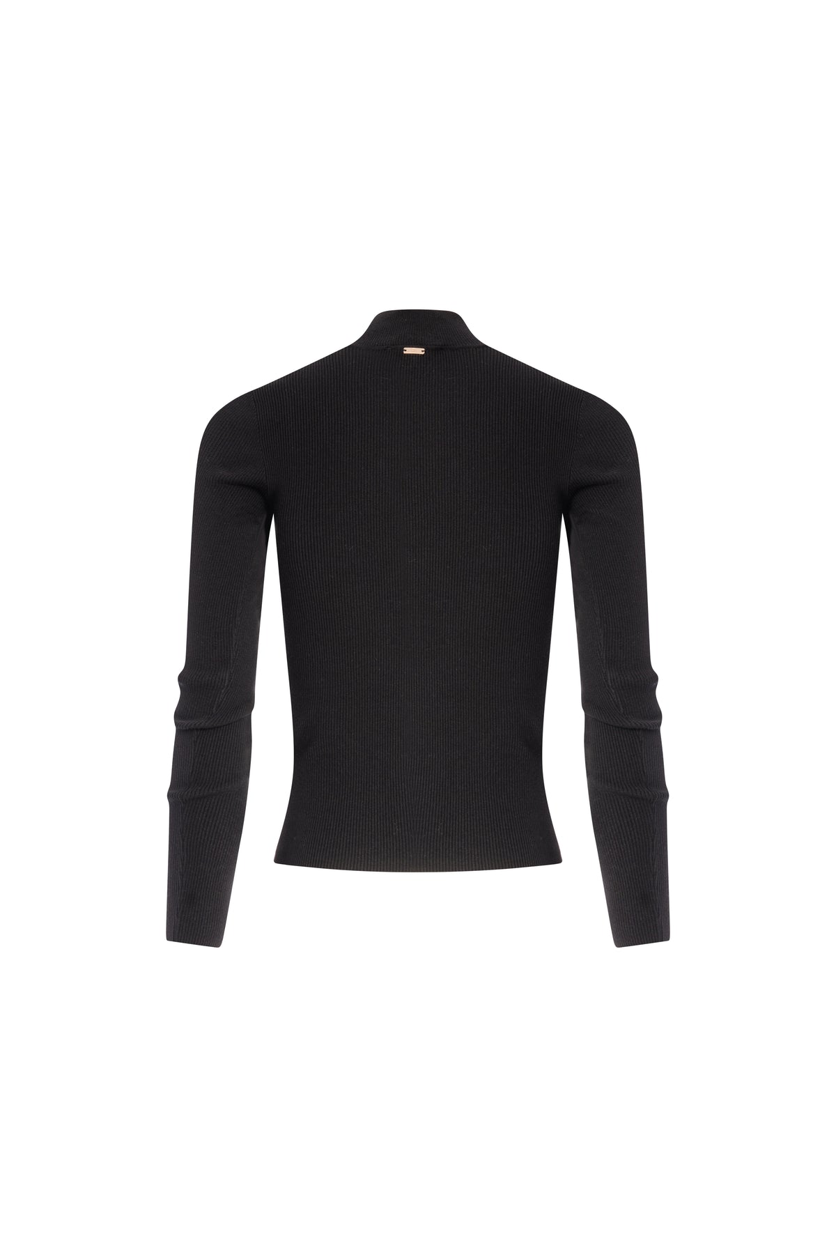 Maglia slim con collo alto FS26WT7026K56501 FRACOMINA